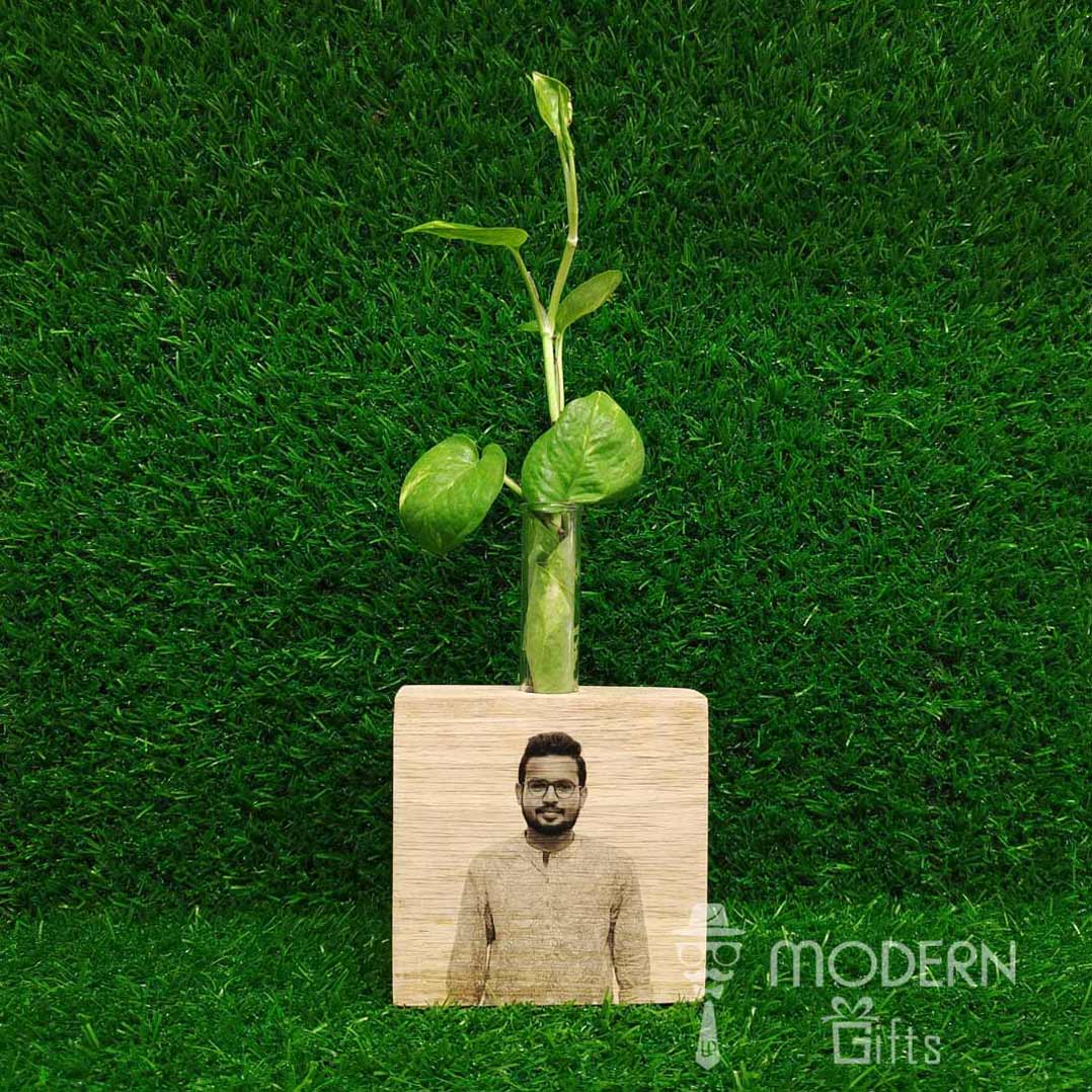 Plant Holder