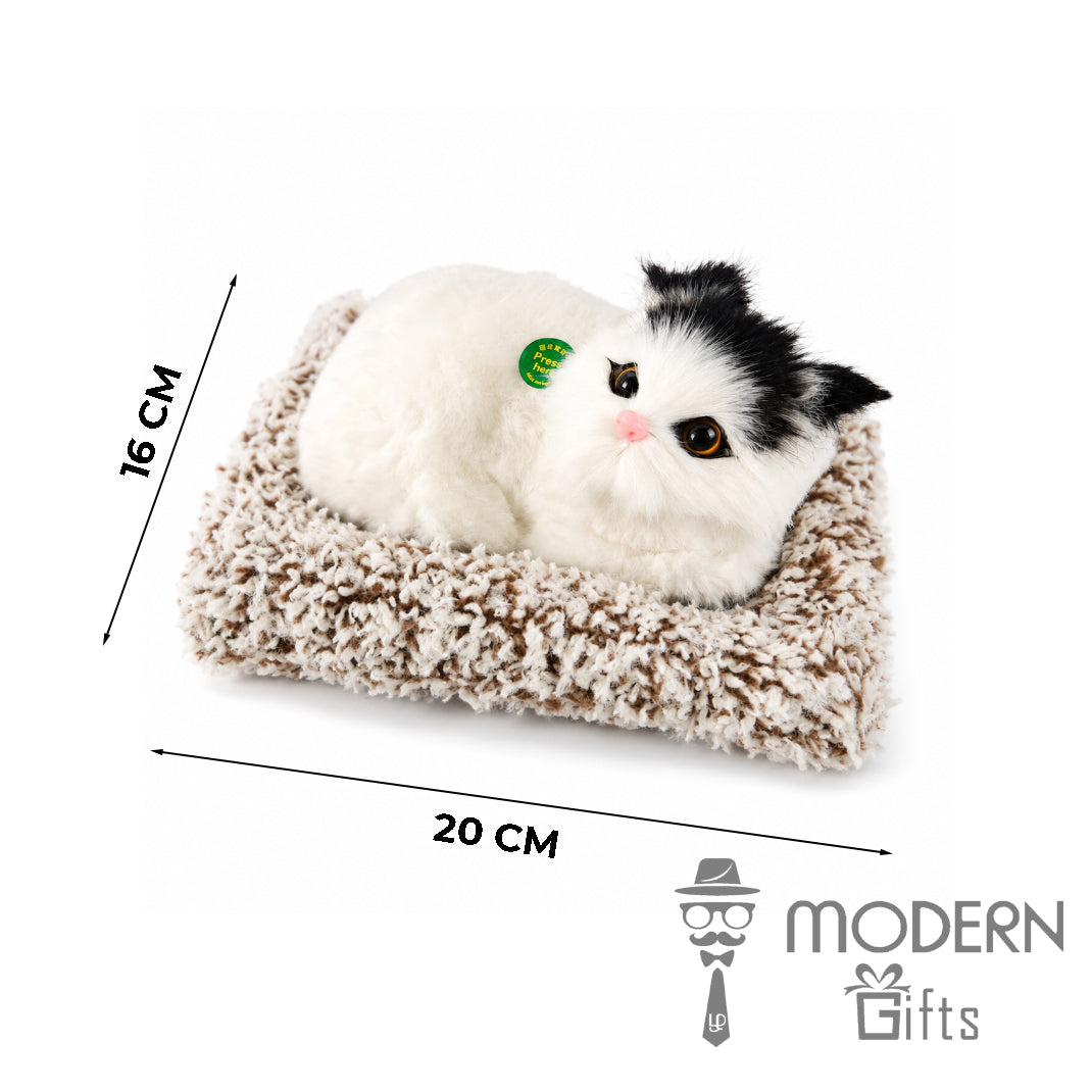 Sleeping Cat